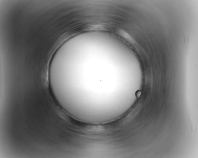 X0000088391370200706051110