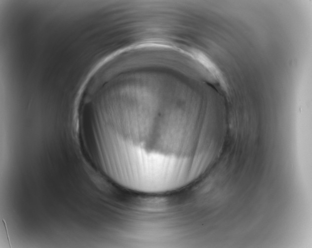 X0000088391372200706051110