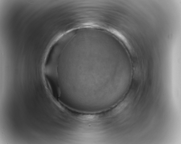 X0000088391373200706051110