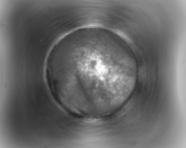 X0000088391374200706051110