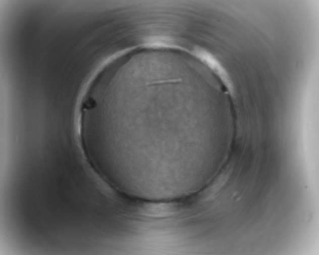 X0000088391376200706051110