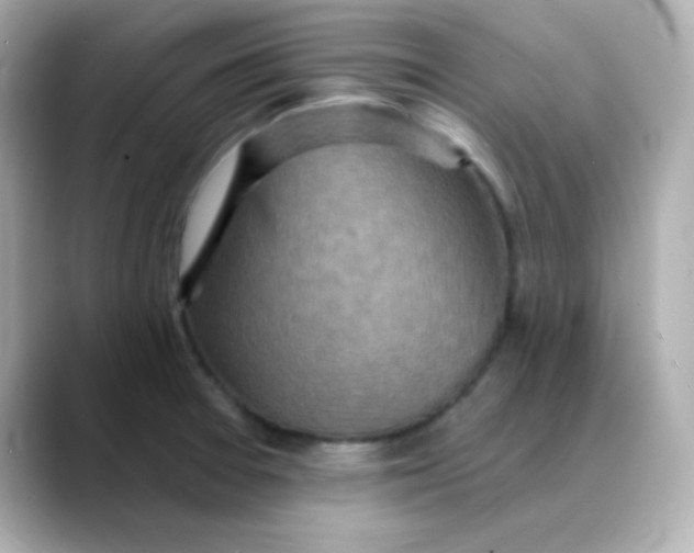 X0000088391377200706051110