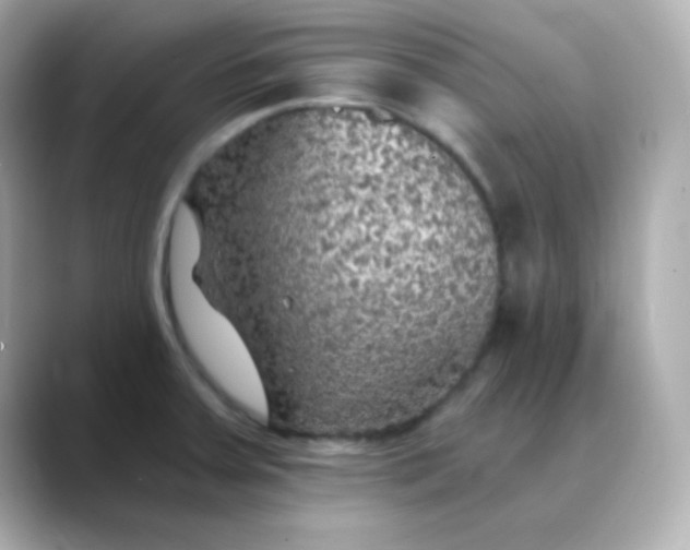 X0000088391379200706051110