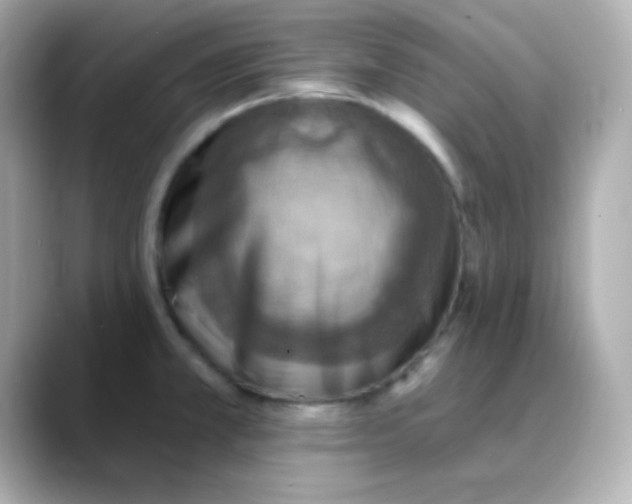 X0000088391381200706051110