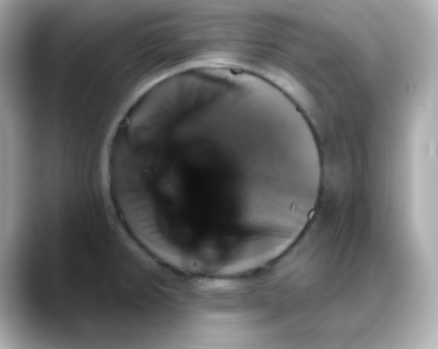 X0000088391382200706051110