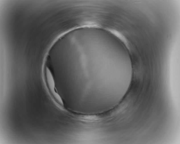 X0000088391383200706051110