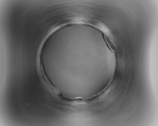 X0000088391384200706051110