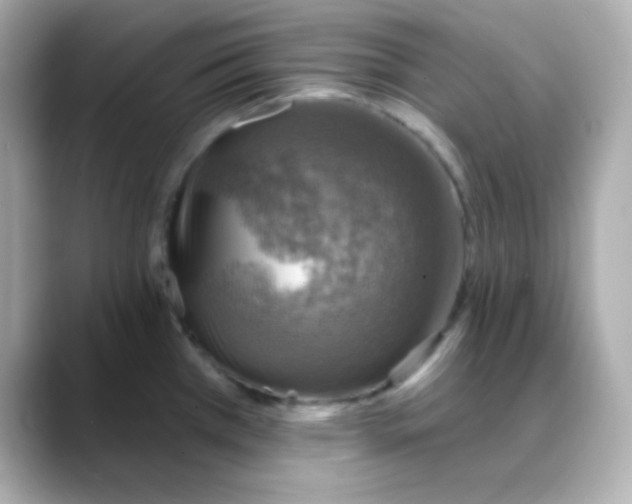 X0000088391385200706051110