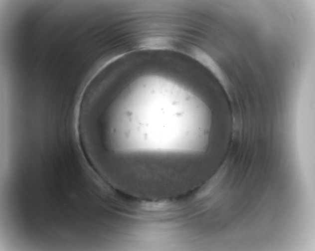 X0000088391386200706051110