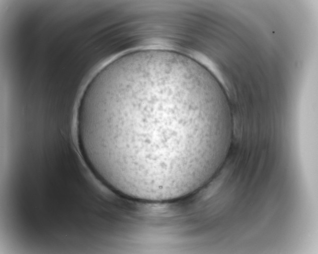 X0000088391387200706051110