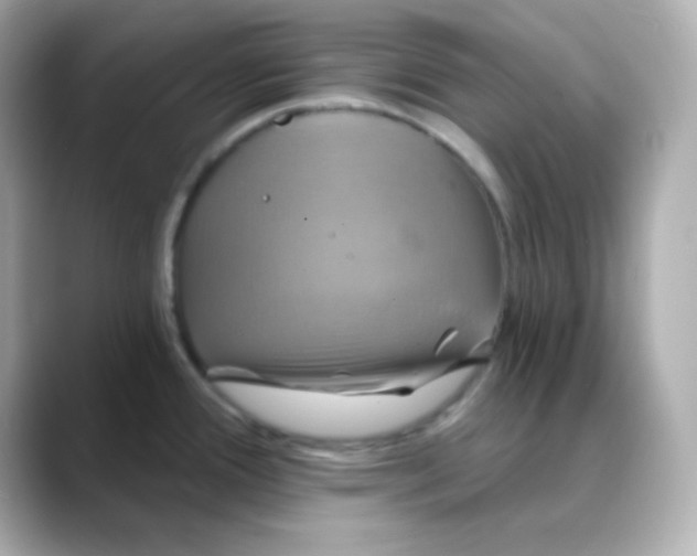 X0000088391388200706051109