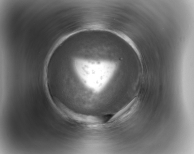 X0000088391389200706051109