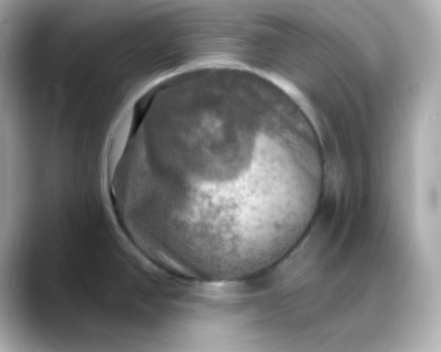 X0000088391390200706051109