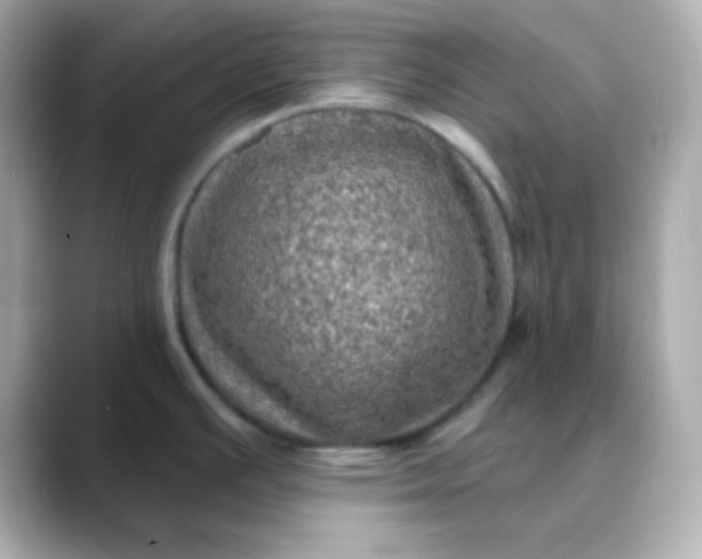 X0000088391391200706051109