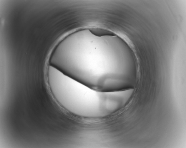 X0000088391392200706051109