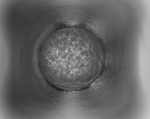 X0000088391393200706051109