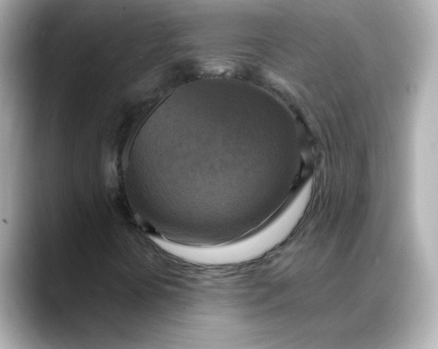 X0000088391394200706051109