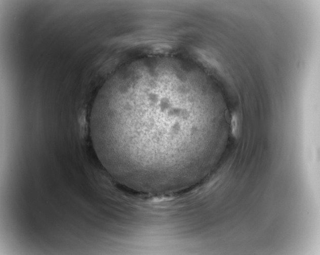 X0000088391395200706051109