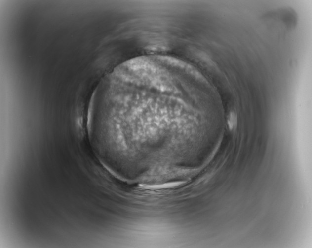 X0000088391396200706051109