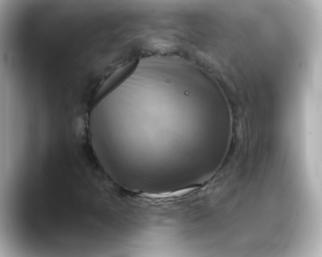 X0000088391397200706051109