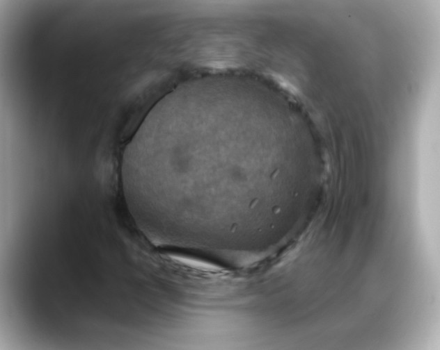 X0000088391398200706051109