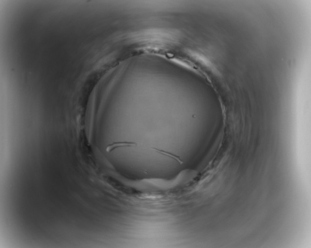 X0000088391399200706051109