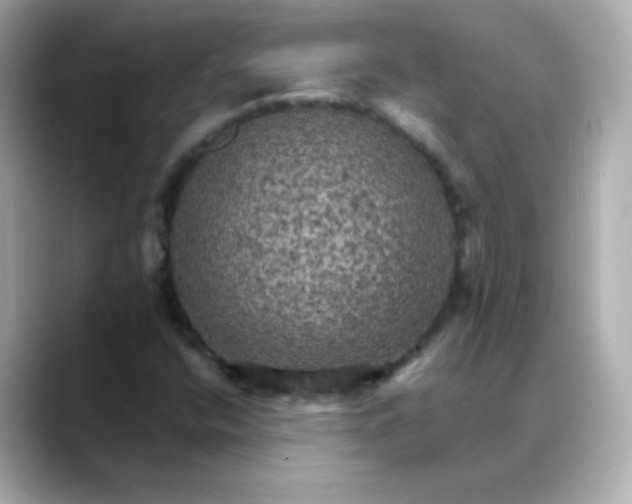 X0000088391400200706051109