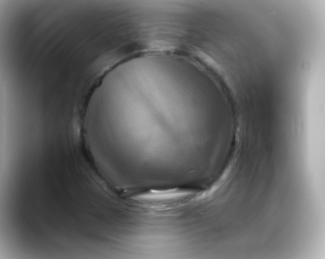 X0000088391401200706051109