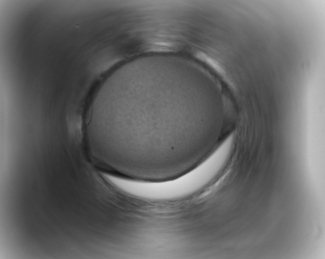 X0000088391402200706051109