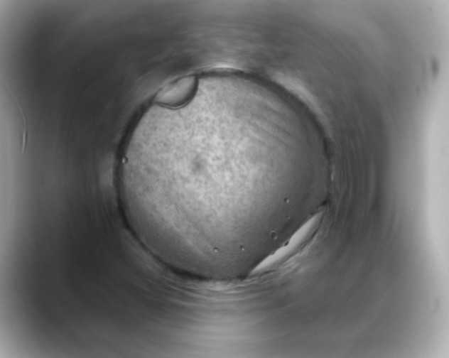 X0000088391404200706051109