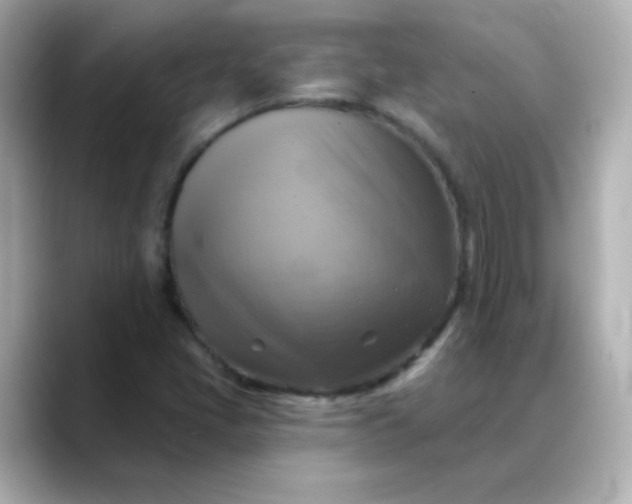 X0000088391405200706051109