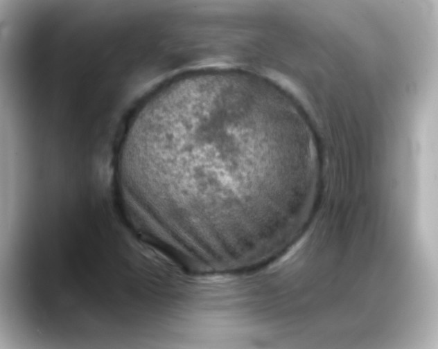 X0000088391406200706051109