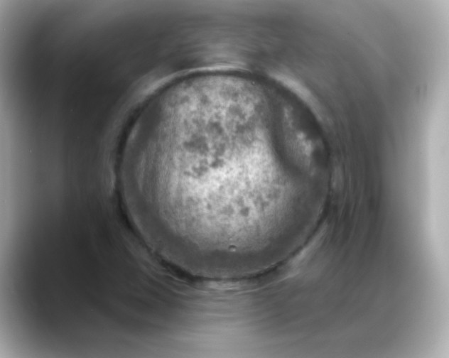 X0000088391407200706051109