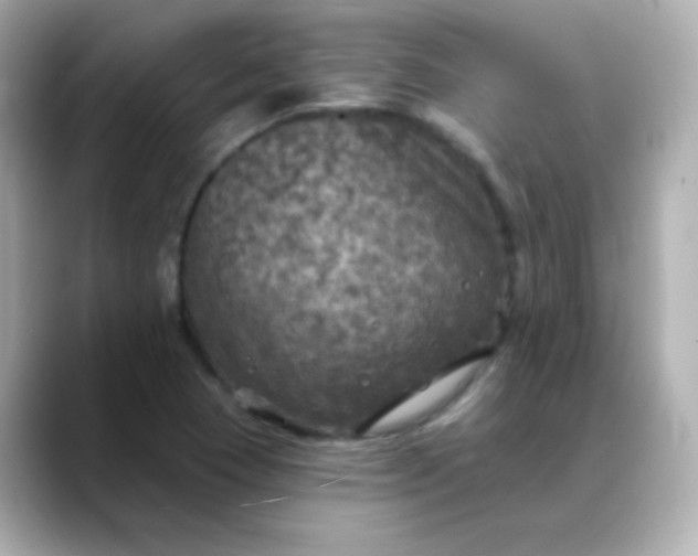 X0000088391409200706051109