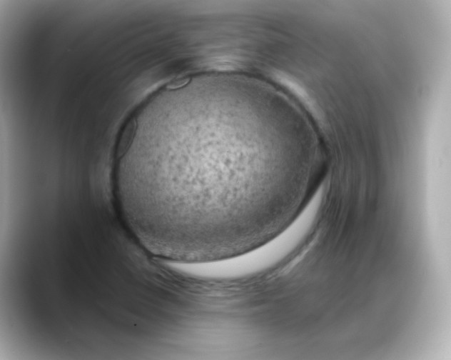 X0000088391410200706051109