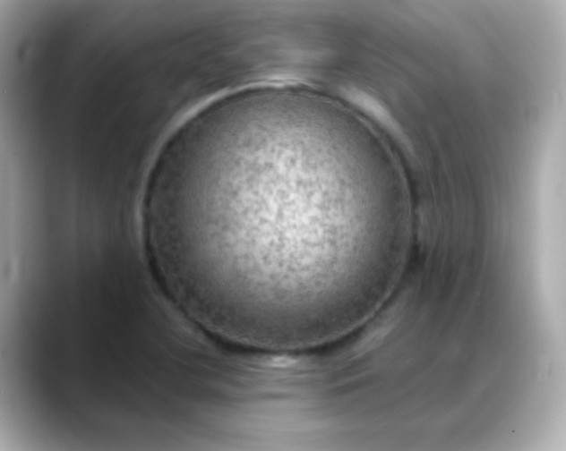 X0000088391412200706051109