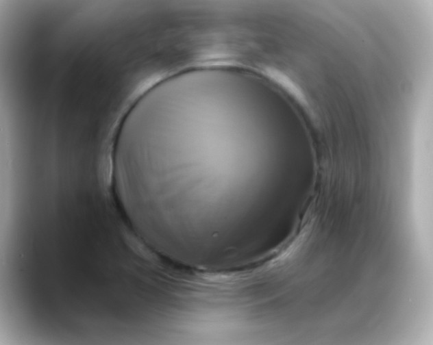 X0000088391413200706051109