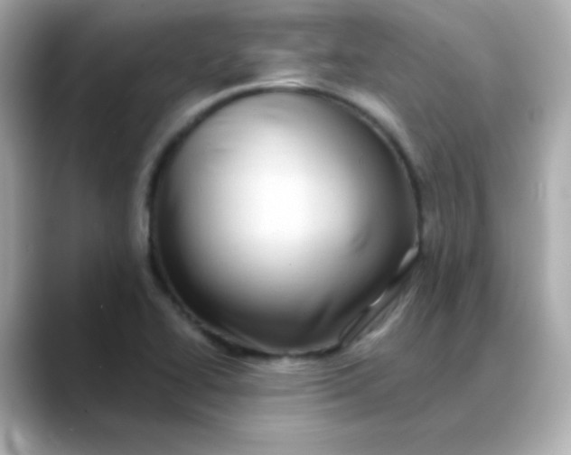 X0000088391414200706051109