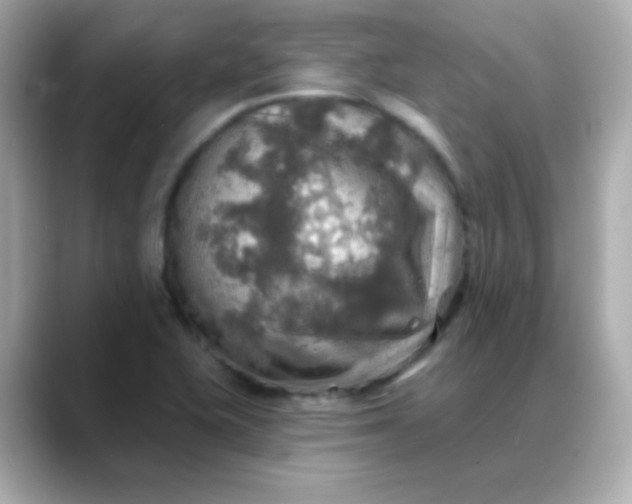 X0000088391415200706051109