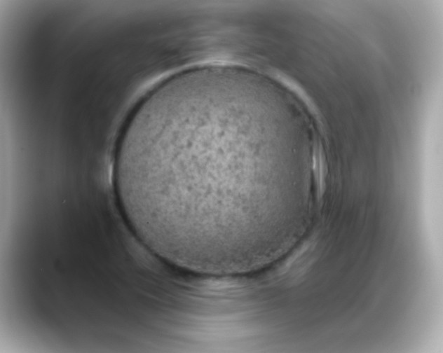 X0000088391416200706051109