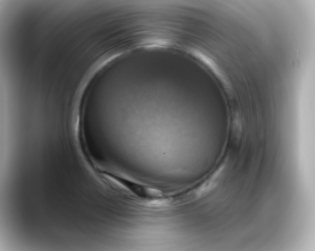 X0000088391418200706051109