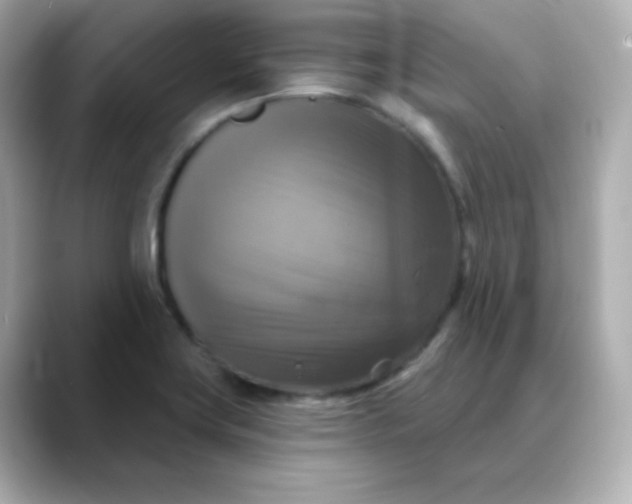 X0000088391419200706051109