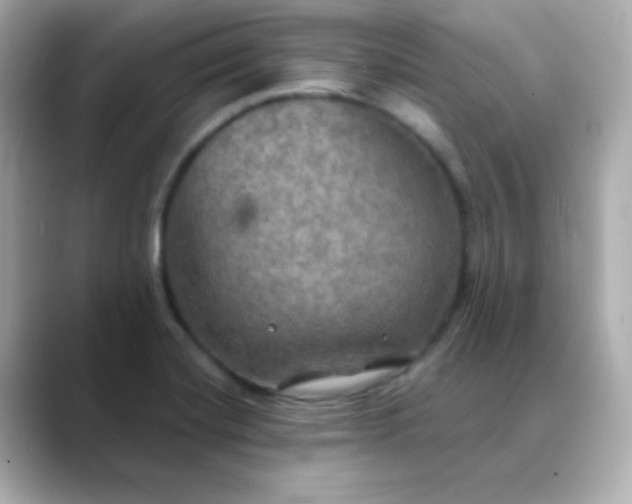 X0000088391420200706051109