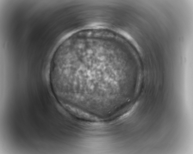 X0000088391421200706051109