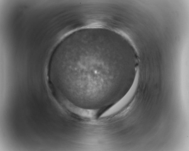 X0000088391422200706051109