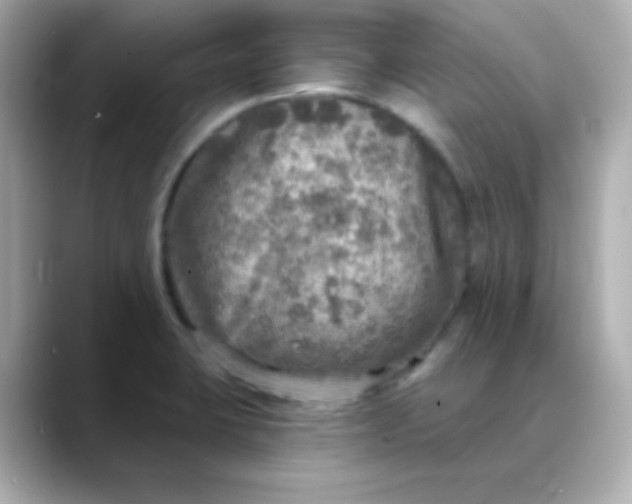 X0000088391423200706051109