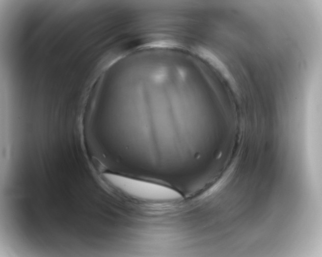 X0000088391425200706051109