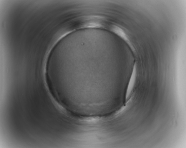 X0000088391426200706051109