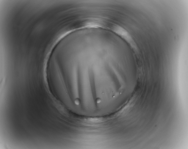 X0000088391427200706051109