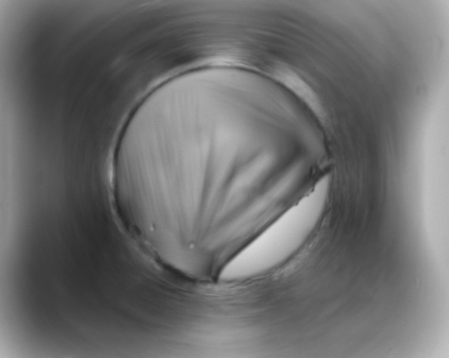 X0000088391428200706051109